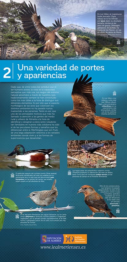 Exposición Aves 02