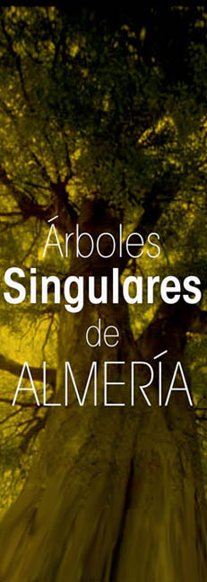 Exposición Arboles singulares